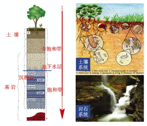 土壤仪器分析图